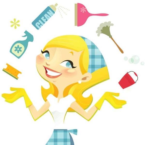 Annies Cleaning Services logo